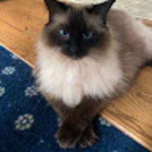 Meet your Posher, Joanna